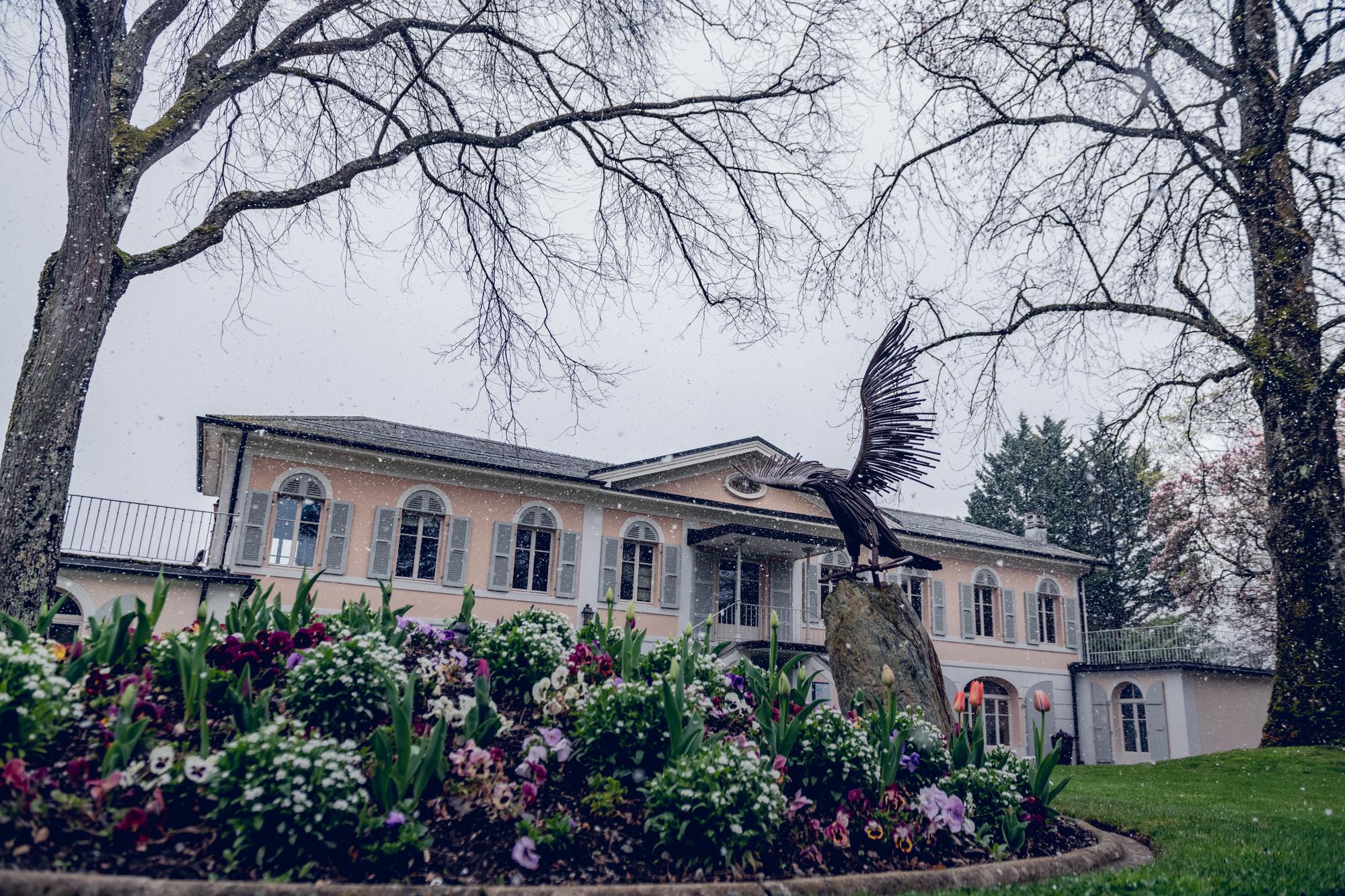 Mairie de Versoix et canard au bord de la jetée de versoix le 01.04.2022 © David Wagnières