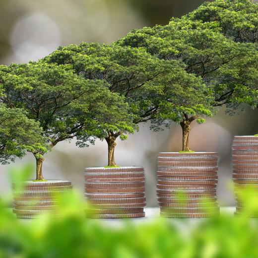 Image d'illustration.