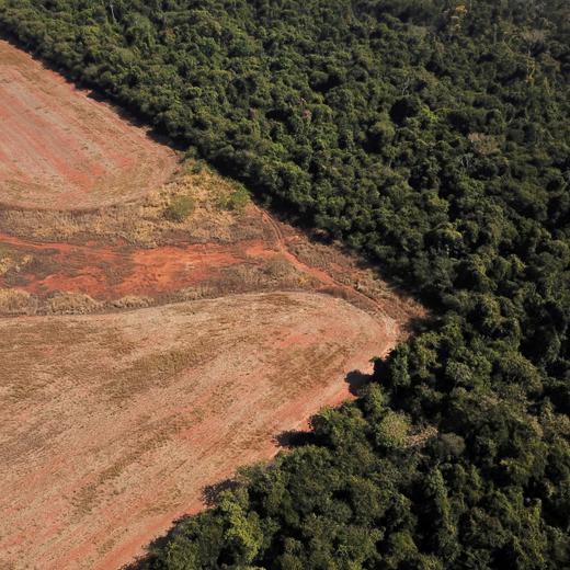 Une vue aérienne montrant la déforestation dans l'Etat du Mato Grosso, au Brésil, le 28 juillet 2021.