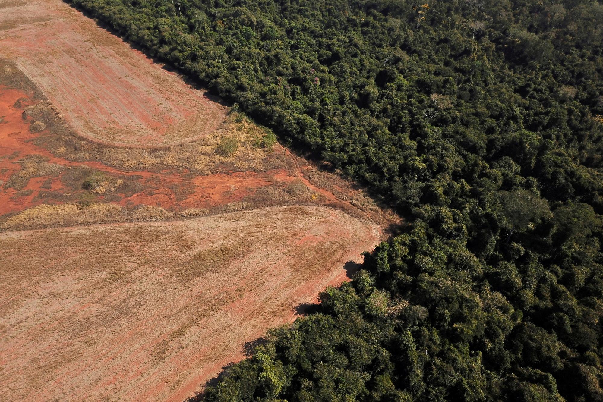 Une vue aérienne montrant la déforestation dans l'Etat du Mato Grosso, au Brésil, le 28 juillet 2021.