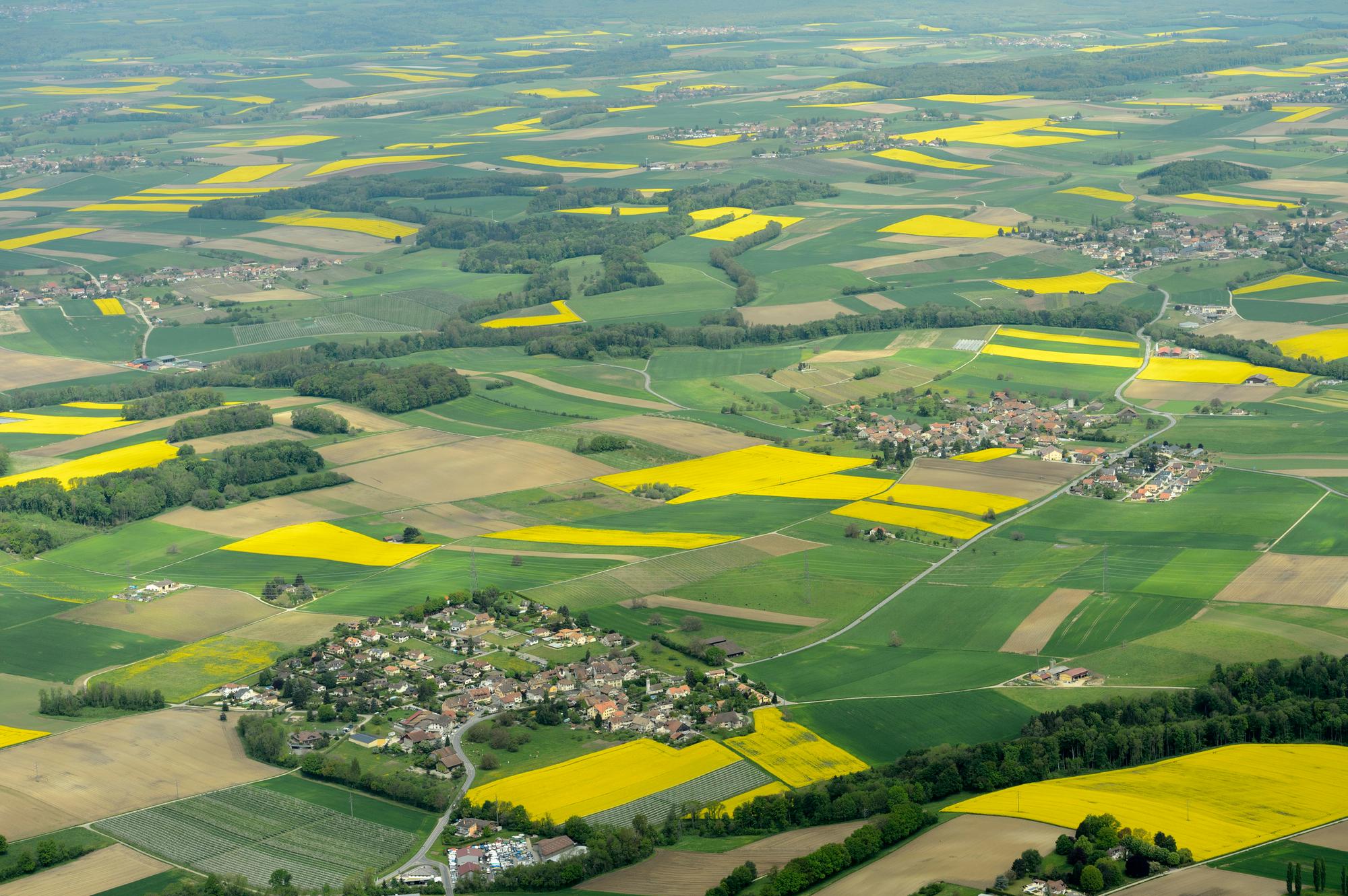 Vue aerienne de la campagne Vaudoise au pied du Jura avec des champs de Colza avec le village de Romanel-sur-Morges, a gauche devant, dans le canton de Vaud photographiee ce lundi 13 mai 2013. (KEYSTONE/Laurent Gillieron)