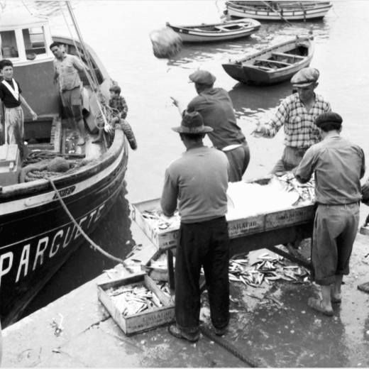 Déchargement des poissons, Portimão, années 1960.