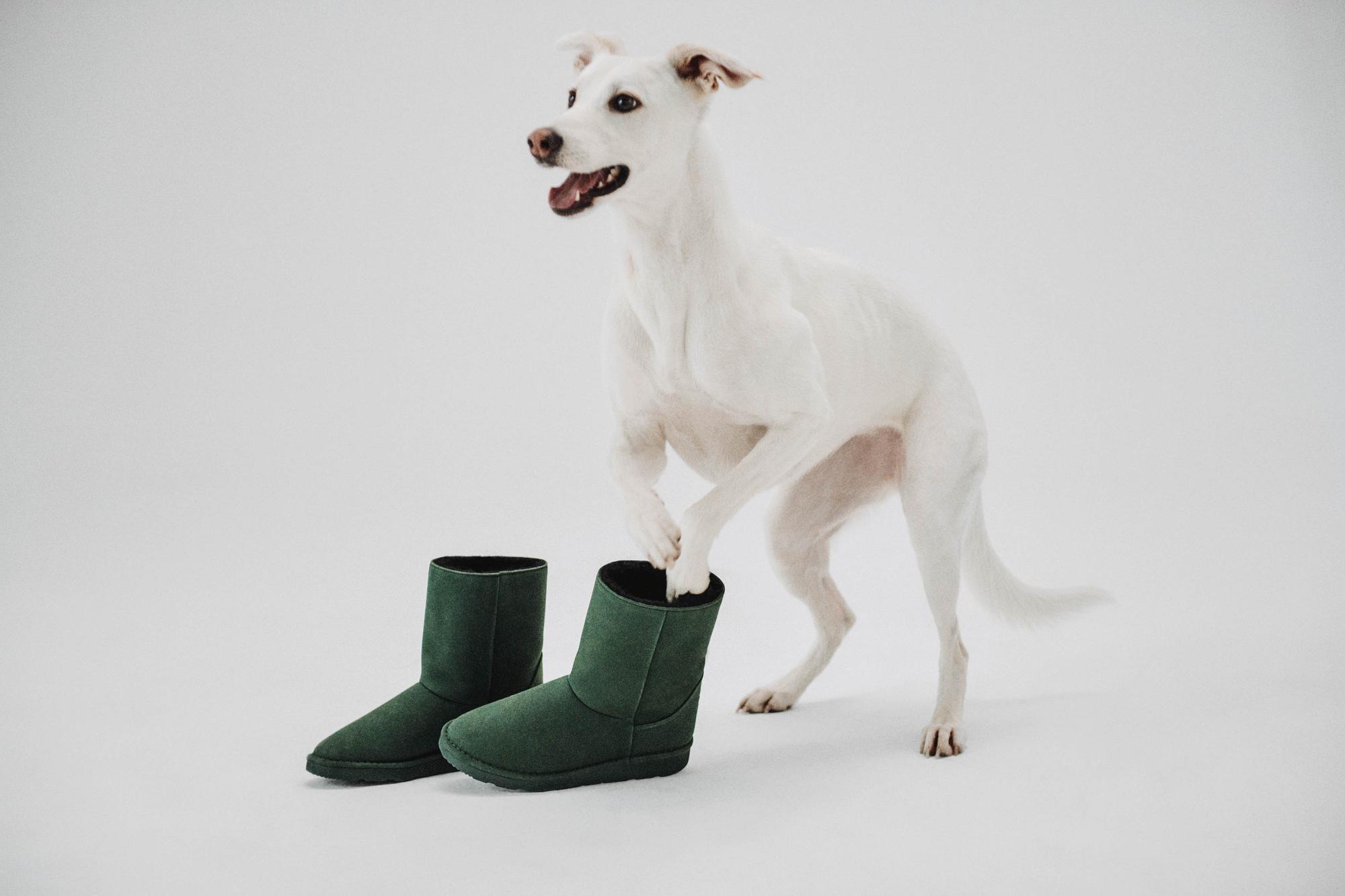 Pour chaque achat, New Orchard verse 10% du produit de la vente à des associations actives dans l'adoption de chiens.