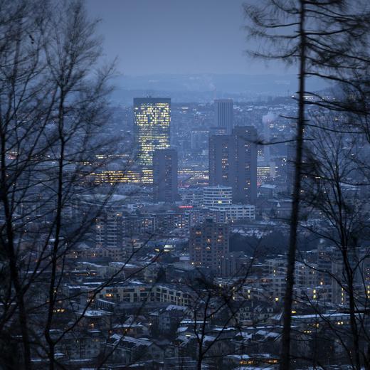 Der Primetower und die Hardau Hochhaeuser fotografiert durch den Wald am Fuss des Uetlibergs am Montag, 23. Januar 2023 in Zuerich. (KEYSTONE/Gaetan Bally)