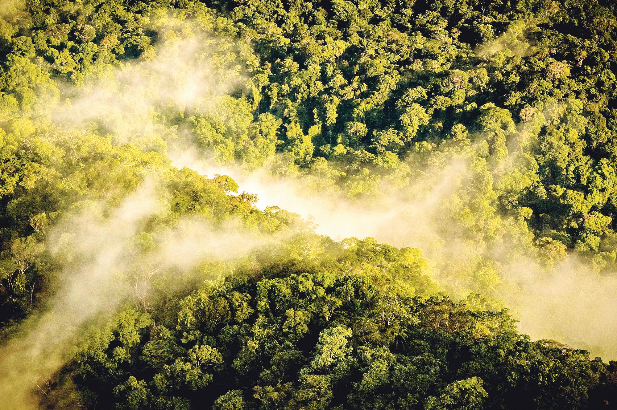 France, Guyana, French Guyana Amazonian Park, heart area, the evening mists in the Amazon rainforest (Photo by BRUSINI Aurélien / hemis.fr / Hemis via AFP)