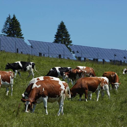 Land: Schweiz,  Kanton: Bern,  Ort: St. Imier (Saint Imier),  Legende: Sonnenkraftwerk auf dem Mont-Soleil (Montagne du Droit) bei St. Imier im Berner Jura. Das Fotovoltaik-Testzentrum auf dem Mont-Soleil ist die wichtigste Anlage dieser Art in der Schweiz. Im Testfeld der Anlage werden neuartige Zellen- und Konstruktionstechnologien aus aller Welt im Vergleich mit dem bestehenden Sonnenkraftwerk erprobt. Auf 20 000 m2, was einer Grösse von drei Fussballfeldern entspricht, wandeln Silizium-Solarzellen das Sonnenlicht direkt in elektrischen Strom um. Die Jahresproduktion von 500 000-600 000 kWh Strom entspricht dem Bedarf von etwa 200 Haushaltungen.  Datum: 09/07/2010. ----------NO PROPERTY RELEASE! NO MODEL RELEASE!-----------Gesellschaft Mont-Soleil Partnerunternehmen sind: BKW FMB Energie AG, Axpo Holding AG, Centralschweizerische Energie AG, AEW Energie AG, Energie Wasser Bern, ABB Schweiz AG, AEK Energie AG, Elektra Birseck Münchenstein (EBM), onyx Energie Mittelland.