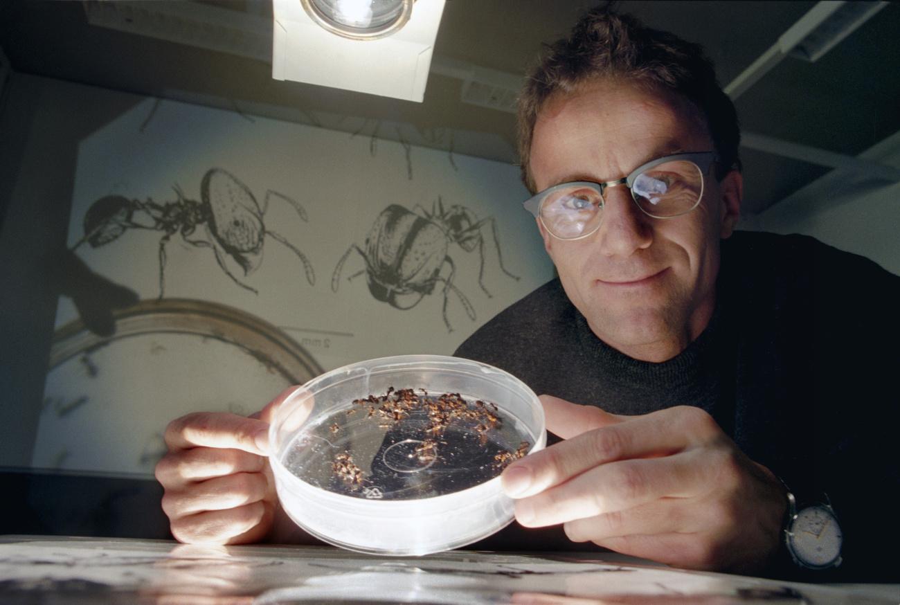 Laurent Keller, Preistraeger des Latsis-Preises 2000 posiert im Februar 1996 mit seinem Forschungsobjekt, den Ameisen. Der Nationale Latsis-Preis ist eine der wichtigsten wissenschaftlichen Auszeichnungen der Schweiz. Er wird jedes Jahr vom Schweizerischen Nationalfonds SNF zur Foerderung der wissenschaftlichen Forschung im Auftrag der Genfer Latsis-Stiftung verliehen. (KEYSTONE/Str)