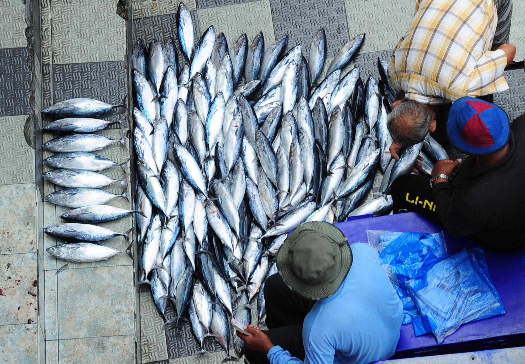 Maldivian fishermen sell their catch at the main fish market in Male on October 26, 2014. The tiny Indian Ocean atoll nation depends on imports to sustain its successful luxury tourism sector. AFP PHOTO / LAKRUWAN WANNIARACHCHI (Photo by LAKRUWAN WANNIARACHCHI / AFP)