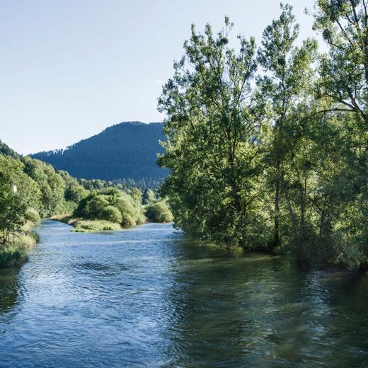 Jura, am Doubs bei Glovelier.