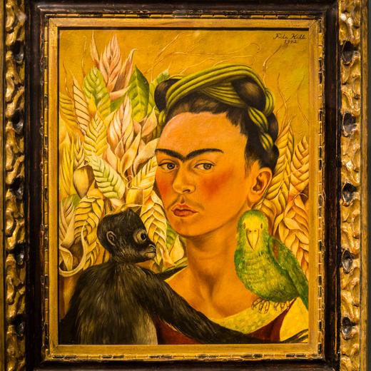 Frida Kahlo Â´Self-portrait with monkey and parrotÂ´, 1942, MALBA, Museum of Latin American Art, Buenos Aires, Argentina.