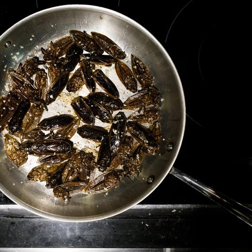 epa06328999 Large waterbugs are sauteed to become part a dish of with cellophane noodles, shiitake peppers, carrots and spinach, during a ten course dinner of dishes featuring edible insects created by chef Joseph Yoon, of the company Diner Echo and the group Brooklyn Bugs, at the Brooklyn Kitchen, in Brooklyn, New York, USA, 13 November 2017 (issued 14 November). Yoon, who runs a high end catering and private chef business, became interested in edible insects earlier this year, both as a creative endeavor as a chef and because of the potential long term positive ecological impact of promoting insects as food. He works to make appetizing and visually appealing dishes with various insects including scorpions, hornets, mealworms, crickets, and grasshoppers. The dinner was co-organized and hosted by the adventurous eating club, 'Gastronauts'. EPA/JUSTIN LANE ATTENTION: This Image is part of a PHOTO SET