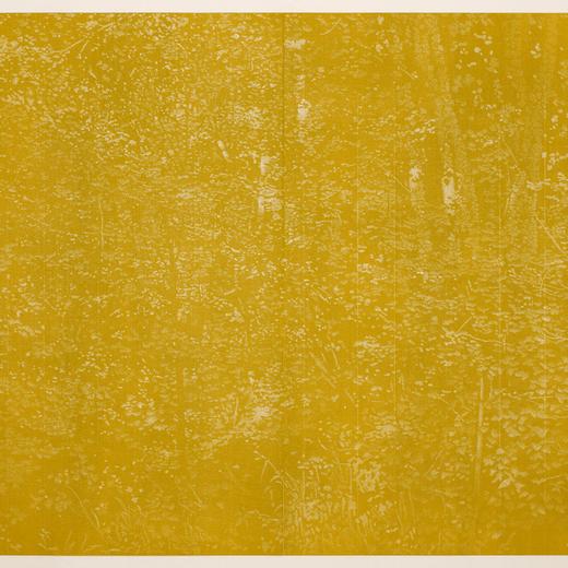 Franz GERTSCH  Sommer I, 2016-2017  Xylographie, papier Japon Kumohadamashi de Heizaburo Iwano 217 x 276 cm  Edition 15/16  FGE-17-05