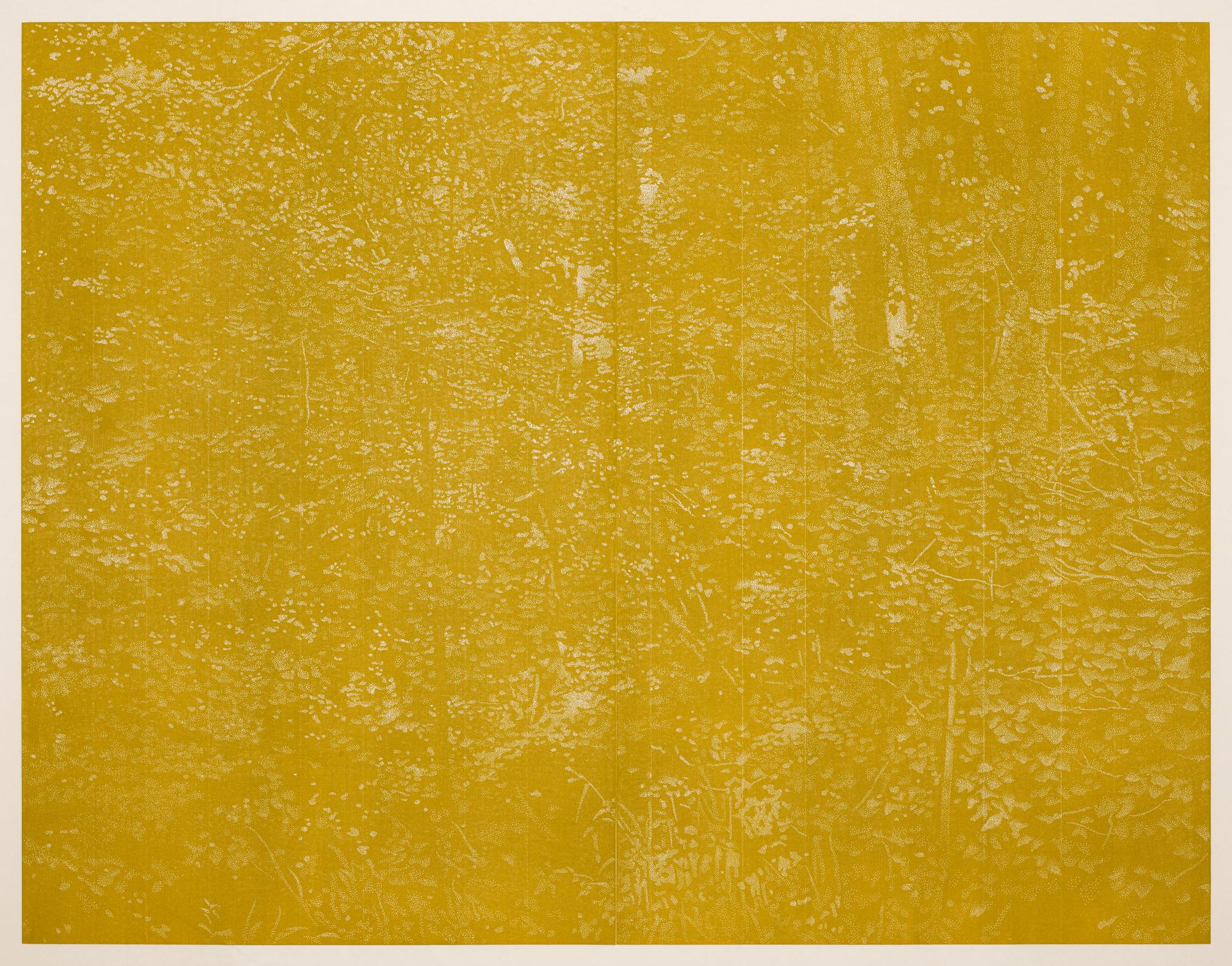 Franz GERTSCH  Sommer I, 2016-2017  Xylographie, papier Japon Kumohadamashi de Heizaburo Iwano 217 x 276 cm  Edition 15/16  FGE-17-05