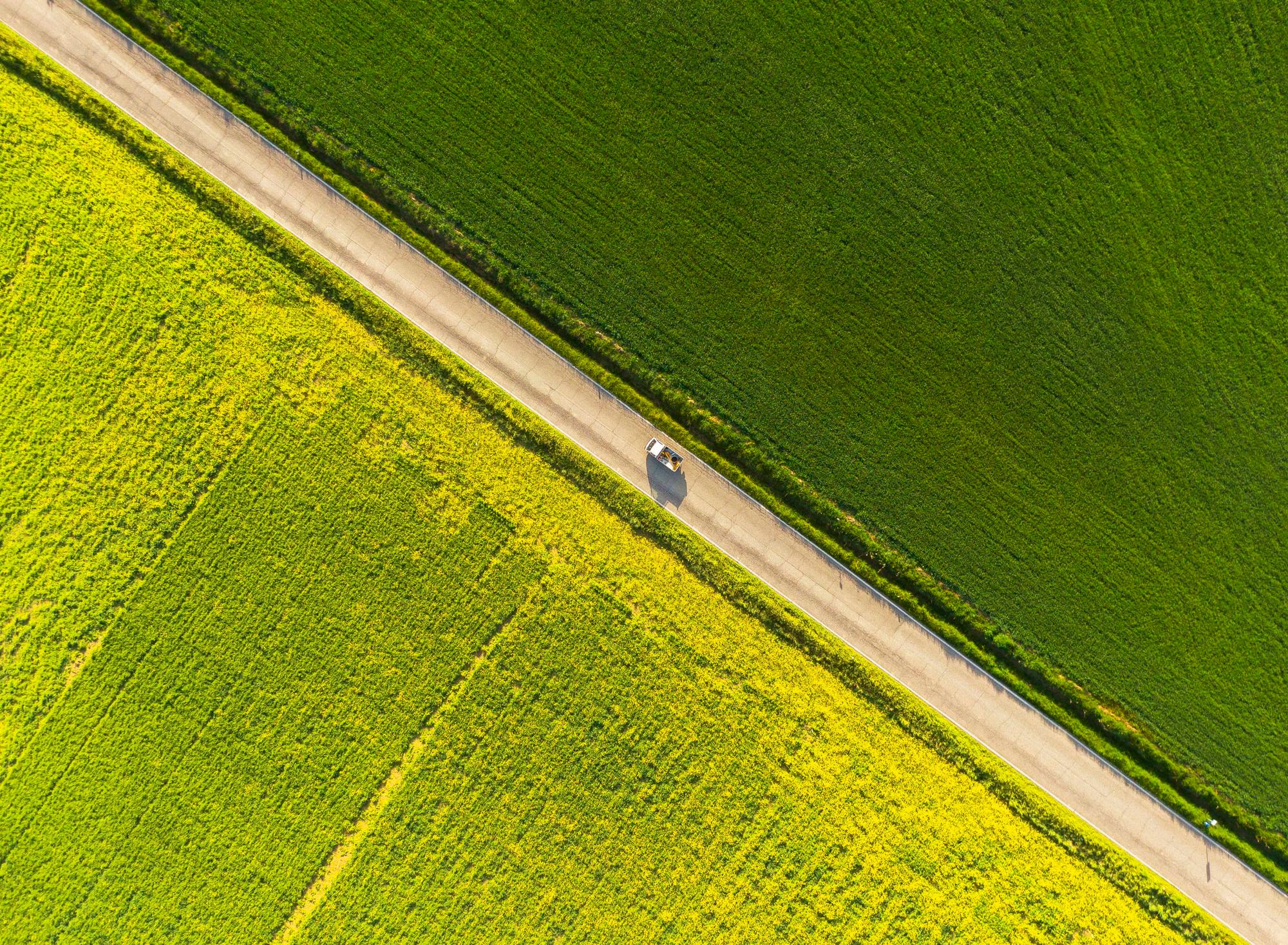 epa08409199 A zenith aerial view of a country road dividing a field of yellow rapeseed flowers with one of green wheat near Pienza, in the Valdorcia region of Tuscany, central Italy, 05 May 2020 (issued 08 May 2020). The Valdorcia region, with its landscape's distinctive aesthetics, is part of the UNESCO list of World Heritage Sites. EPA/FABIO MUZZI ATTENTION: This Image is part of a PHOTO SET