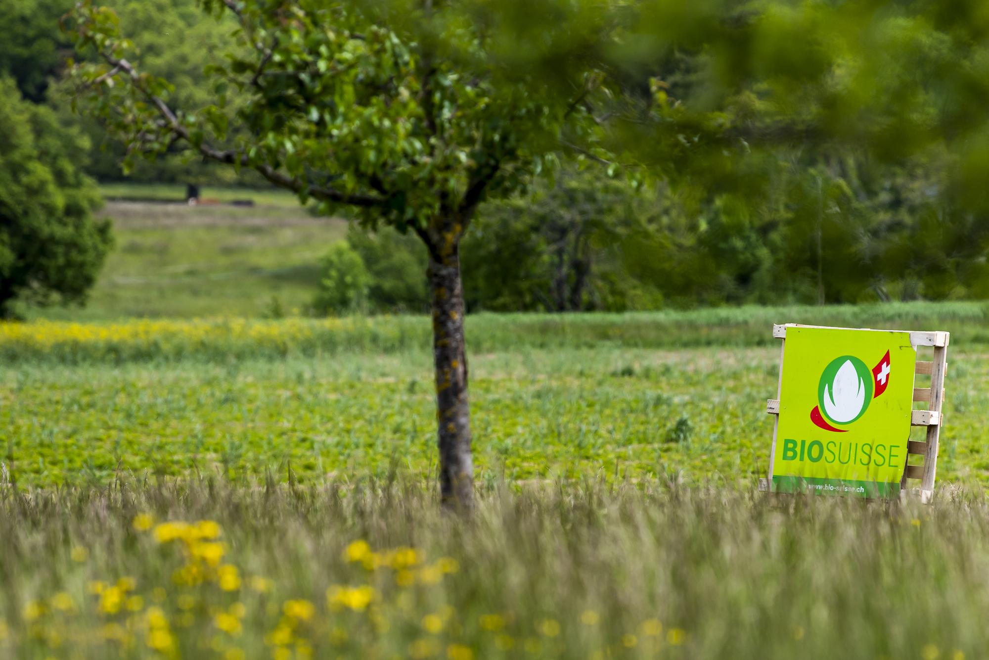 Un panneau BioSuisse est visible dans un champ lors d'une conference de presse de BioVaud et du comite vaudois de soutien a l'initiative "Pour une Suisse libre de pesticides de synthèse" dans une ferme le jeudi 27 mai 2021 a Moiry. (KEYSTONE/Jean-Christophe Bott)