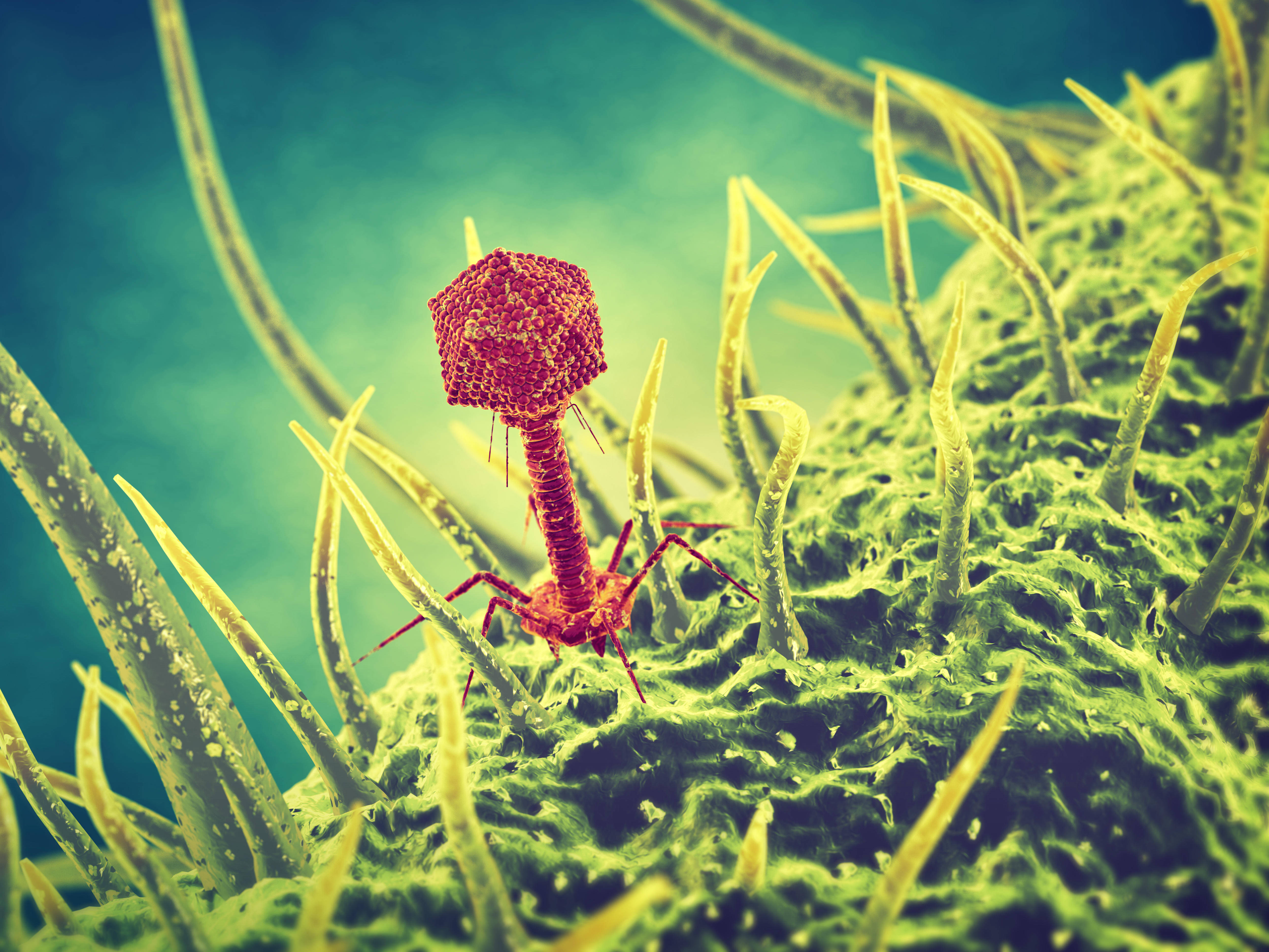 H3T4DE Bacteriophage viruses , Infectious disease , Phage therapy