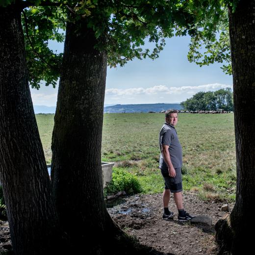 «Chaque hectare perdu […] va conduire à un affaiblissement de l'appellation contrôlée.