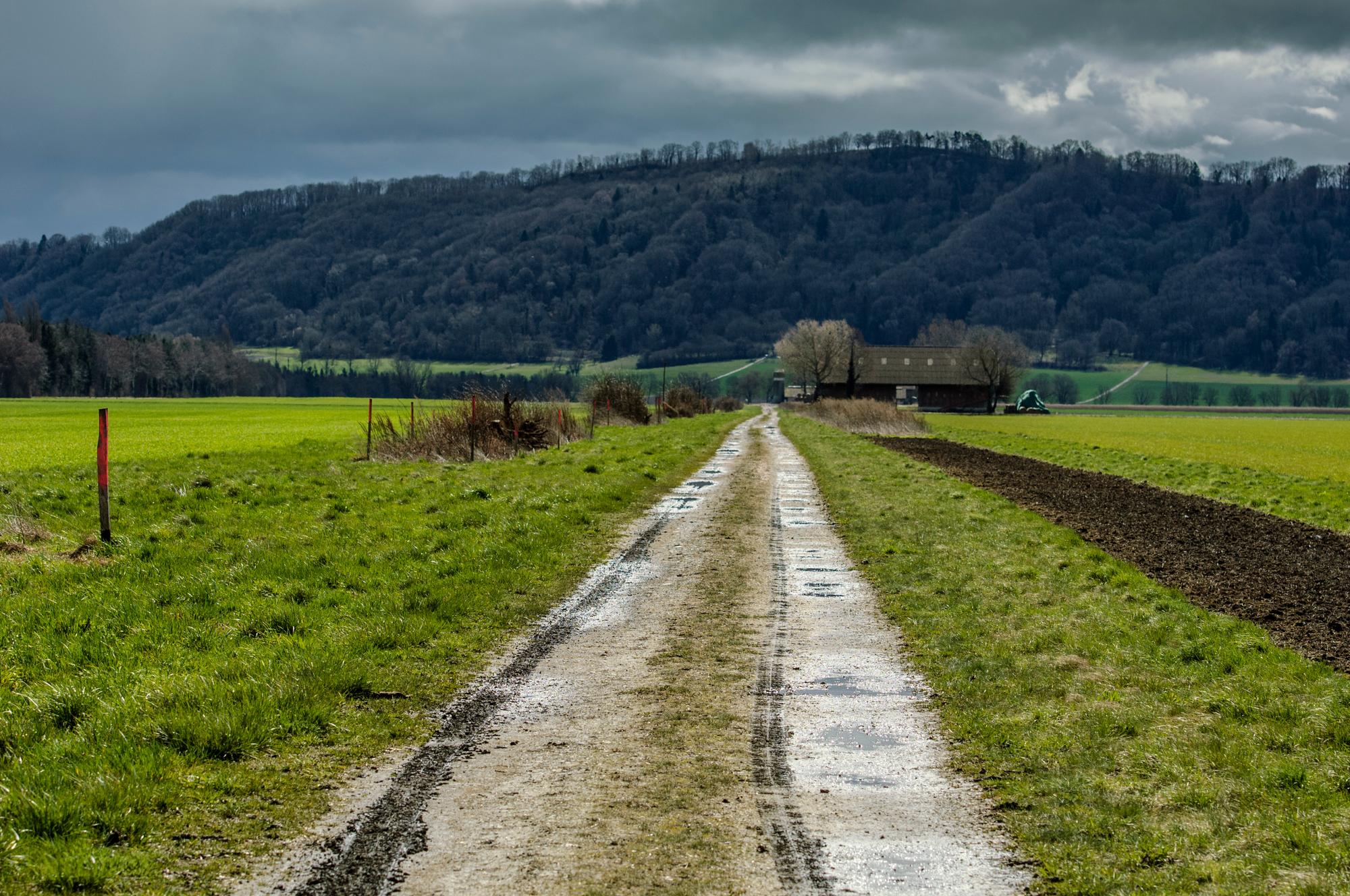 La région dite «du Grand-Marais», située entre les lacs de Morat, de Neuchâtel et de Bienne est très importante pour l'agriculture, mais est aussi exceptionnelle du point de vue de la biodiversité.