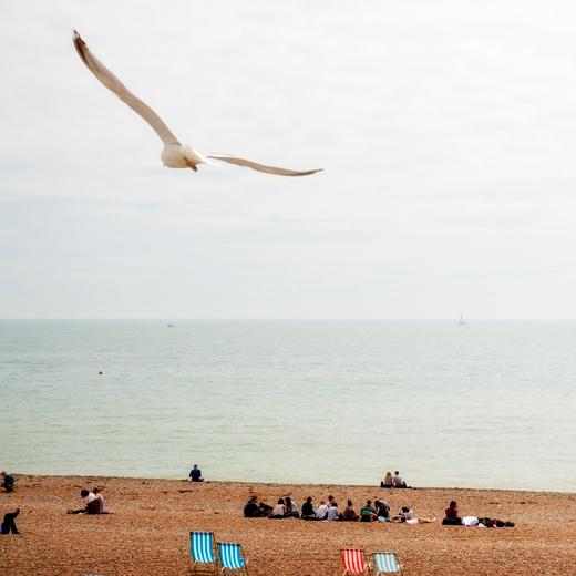 Europa, Grossbritannien, England, Suedengland, Sussex, Brighton, Aeremlkanal, Liegestuehle, Moewe, Strand, Meer, Urlaub, Sommer, Seebad, 7/2012 English: Europe, Great Britain, England, Southern England, Sussex, Brighton, English Channel, sea gull, beach, sea, coast, holiday, summer, seaside resort, loungers, July 2012