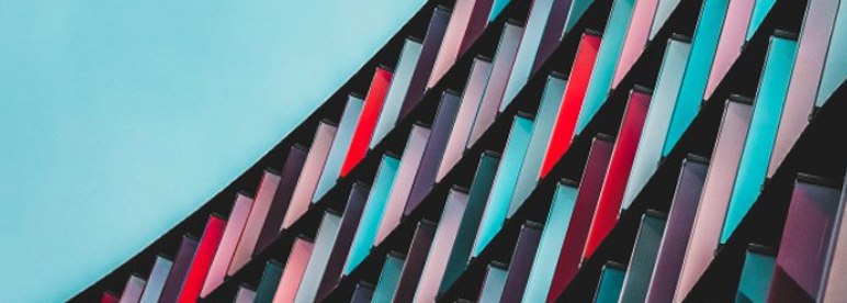 Image du site de l'ISSB.