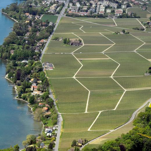 Vue aerienne du vignoble de Perroy dans le canton de Vaud photographie ce lundi 13 mai 2013 au bord du Lac Leman. (KEYSTONE/Laurent Gillieron)