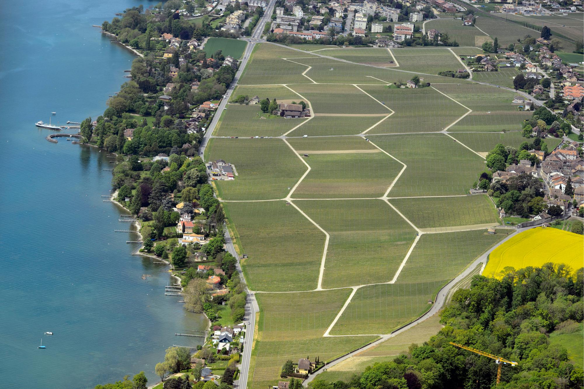 Vue aerienne du vignoble de Perroy dans le canton de Vaud photographie ce lundi 13 mai 2013 au bord du Lac Leman. (KEYSTONE/Laurent Gillieron)