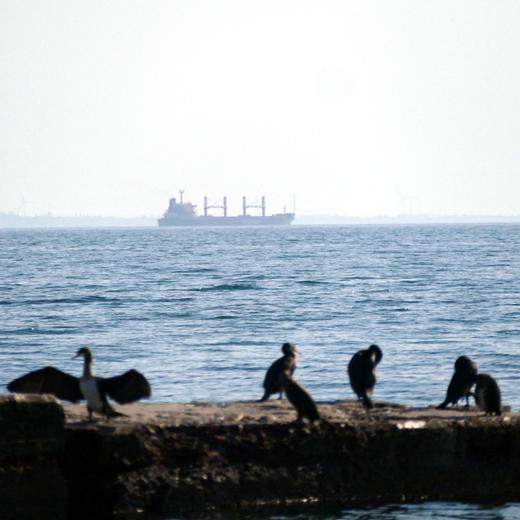 Un cargo turc rempli de céréales quitte le porte d'Odessa, au sud de l'Ukraine, le 16 juillet 2023.