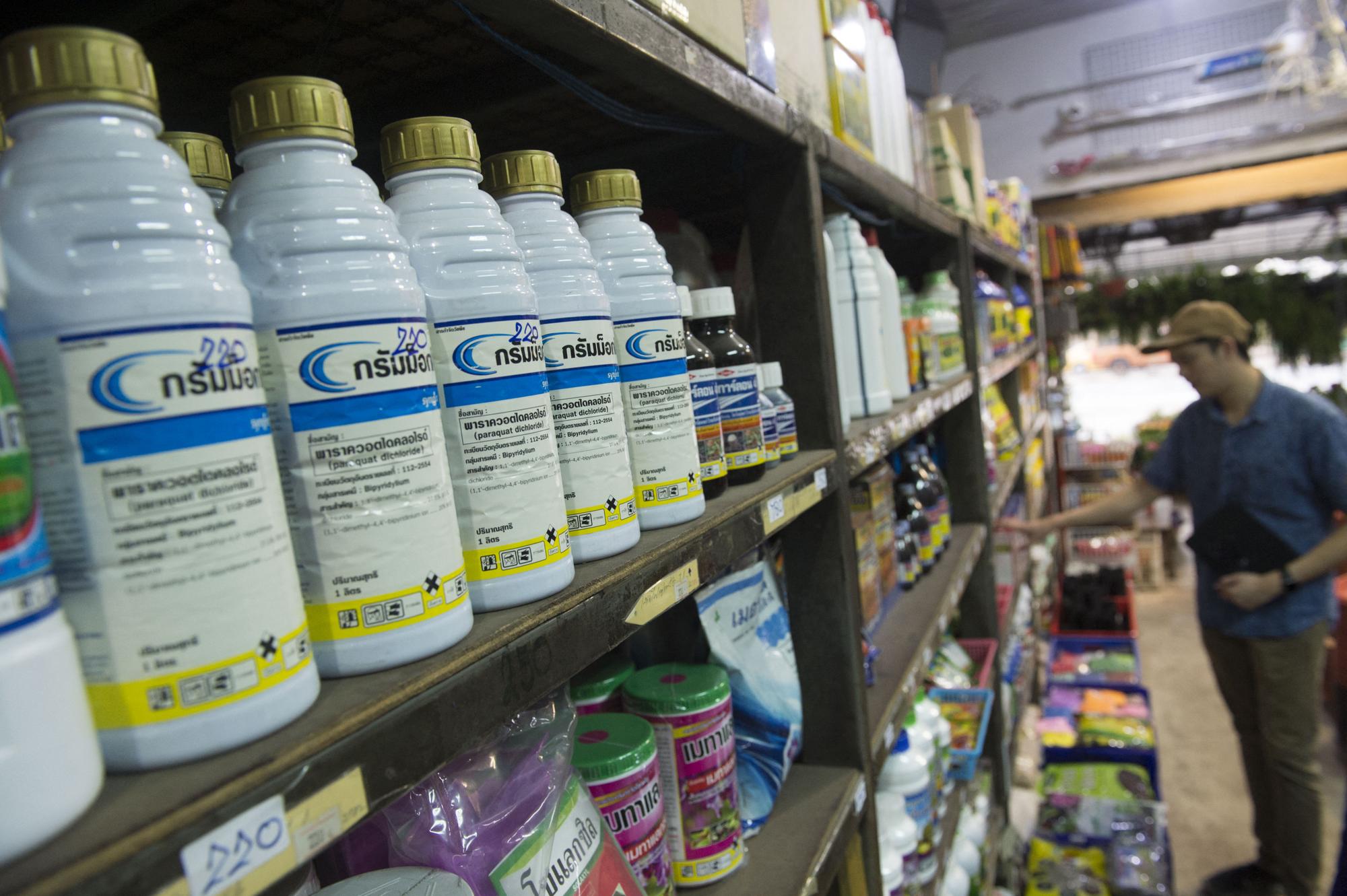 Bottles of paraquat are displayed for sale at a shop in Bangkok on May 23, 2018. A toxic weedkiller linked to Parkinson's disease and banned in more than 30 countries will not be outlawed in Thailand, after authorities announced May 23 they would instead restrict its use. (Photo by Romeo GACAD / AFP)