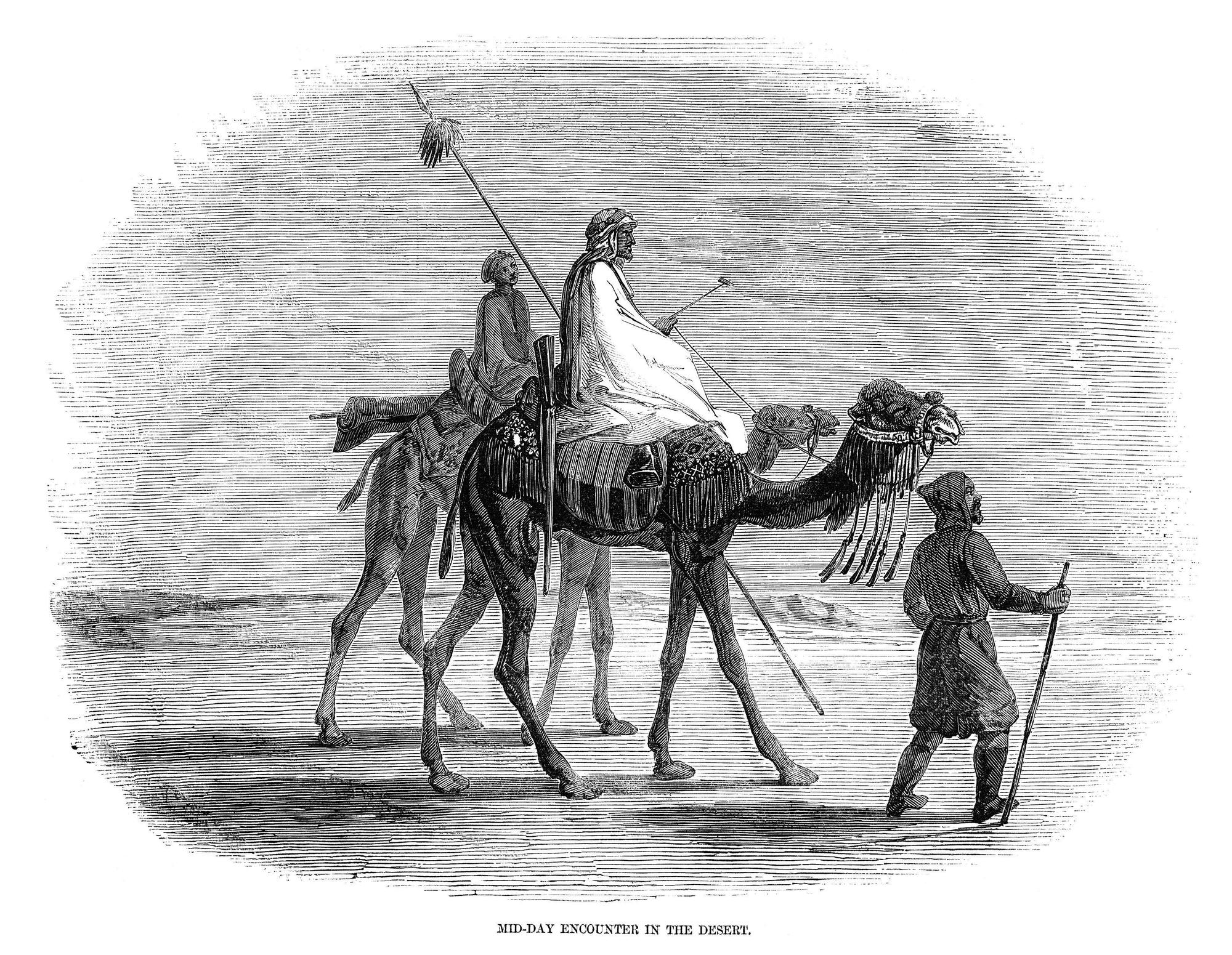 Pour définir la circonférence de la Terre, Eratosthène s'est basé sur les calculs des bématistes qui comptent les pas de leurs chameaux pour mesurer les distances.