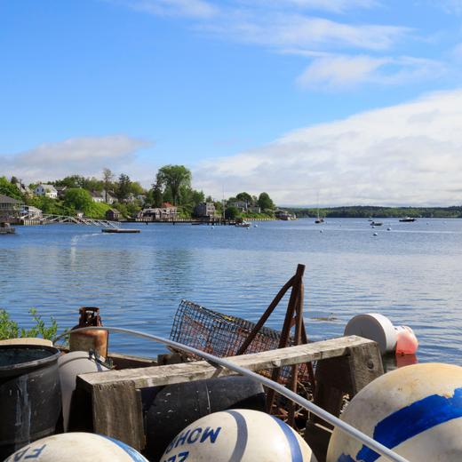 2C6ERKP Harbor with boats and dock in summer, Castine, Maine, New England, USA