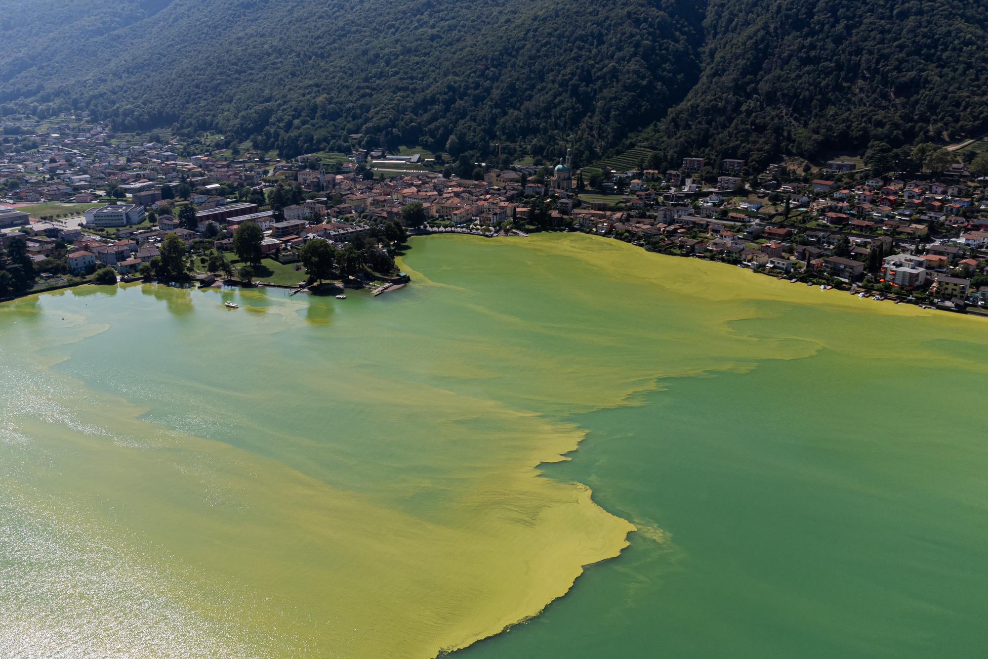 The water of Lake Lugano near Riva San vitale, Switzerland, is coloured green and yellow due to a strong Cyanobacteria (Blue-Green Algae) proliferation, Wednesday, August 24, 2023. The proliferation of blue-green algeae is favoured by higher water temperatures. In cases of heavy proliferation, the bacteria can release substances that are potentially dangerous to humans and animals. (KEYSTONE/Ti-Press/Elia Bianchi)