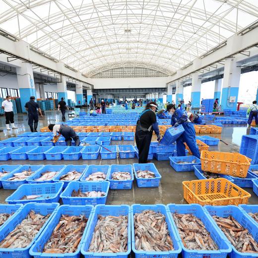 Fishery workers sort out seafood caught in offshore trawl fishing at Matsukawaura port in Soma City, Fukushima prefecture on September 1, 2023, about a week after the country began discharging treated wastewater from the TEPCO Fukushima Daiichi nuclear power plant. (Photo by JIJI Press / AFP) / Japan OUT