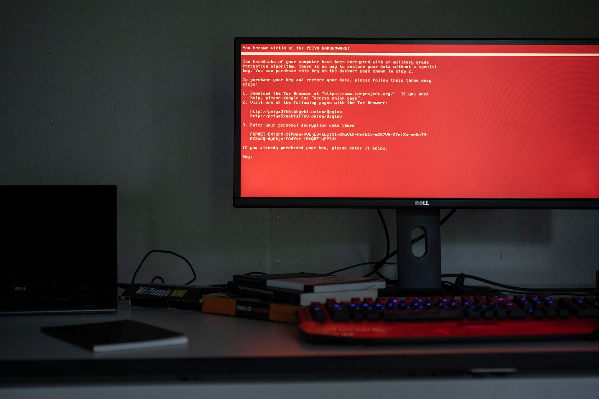 [Symbolic Image / Staged Image] A computer screen showing a request to update a Social-Engineer Toolkit (SET), photographed on July 7, 2019. SET is an open-source Python-driven tool aimed at penetration testing around Social-Engineering. (KEYSTONE/Christian Beutler)