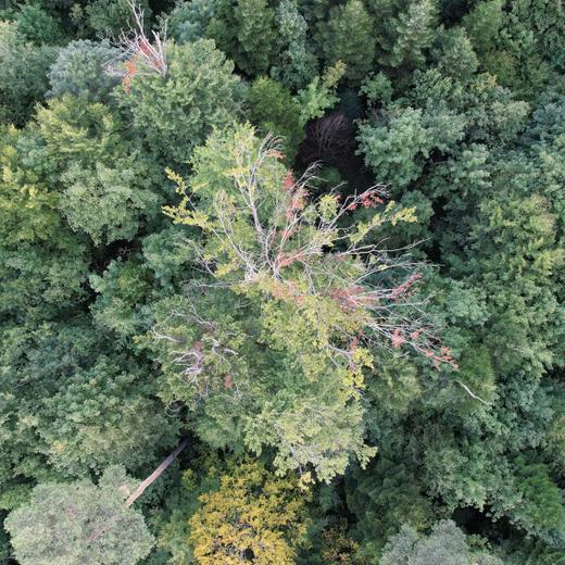 Dans les alentours de Delémont 2022.