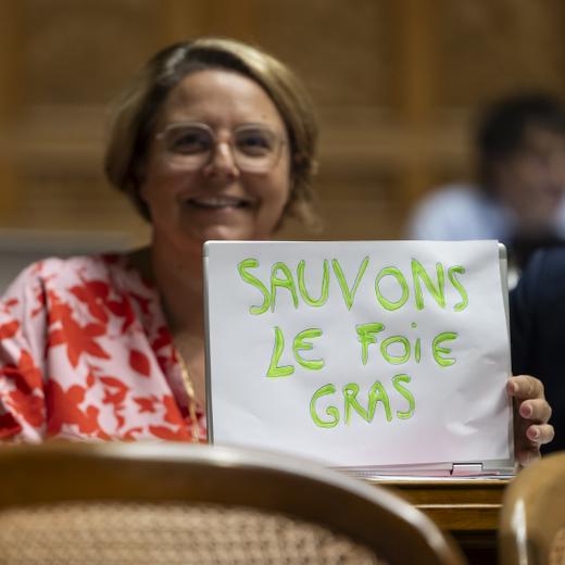 Ada Marra, SP-VD, links, setzt sich neben Emmanuel Amoos, SP-VS, mit einem Slogan auf ihrem Laptop Computer gegen ein Importverbot von Stopfleber, Foie Gras ein, an der Herbstsession der Eidgenoessischen Raete, am Donnerstag, 14. September 2023 im Nationalrat in Bern. (KEYSTONE/Alessandro della Valle)