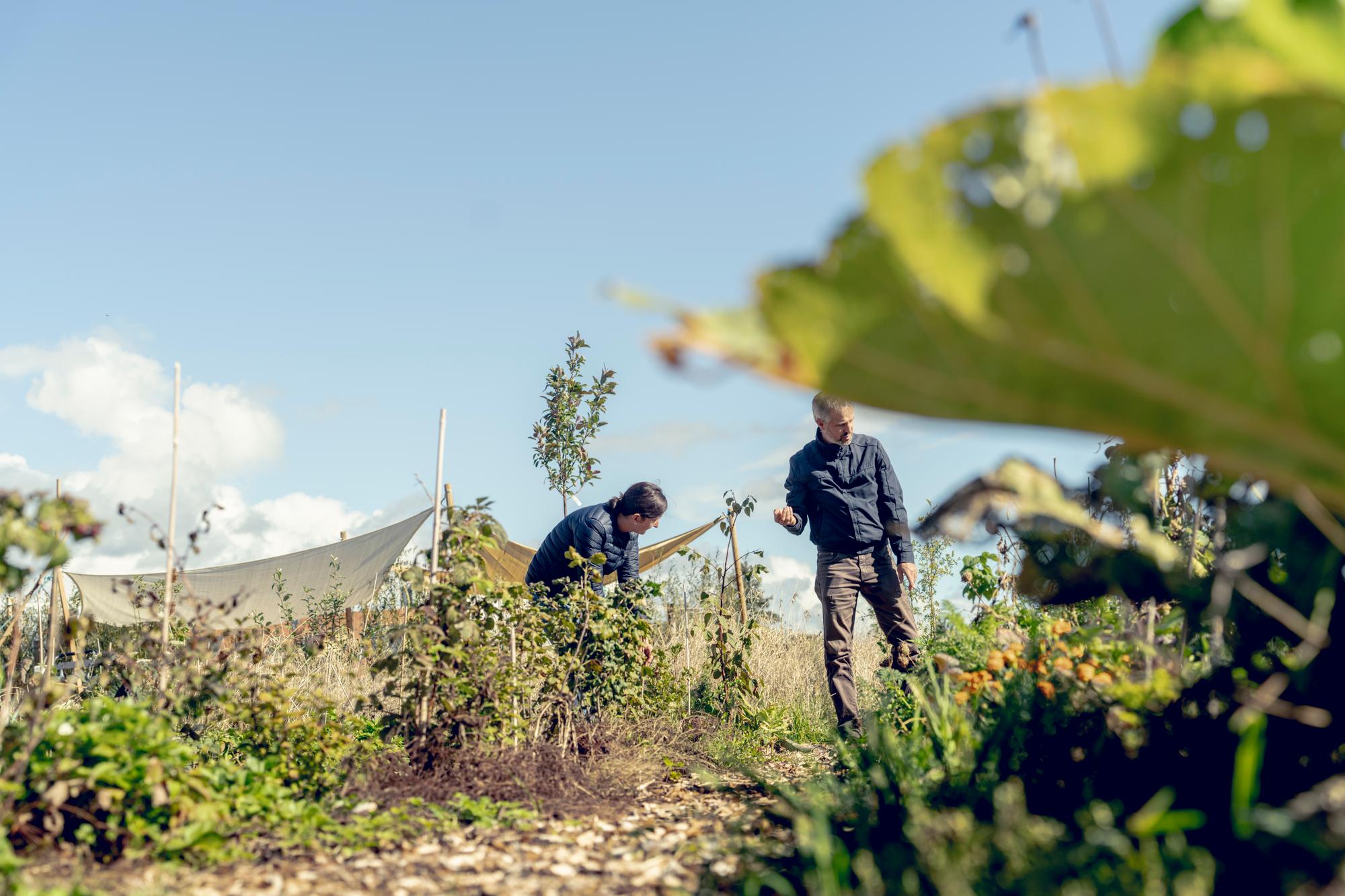 Alicia Perego et Samuel Dépraz dans Le Jardin-Forêt d'Eos. Domaine de Sous-Cor, Eysin / VD, le 22.09.2023 © David Wagnières