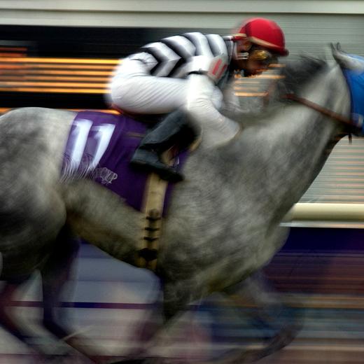 Starine (France) heads for the finish line with jockey John Velazques in the saddle in the Breeders' Cup Filly & Mare Turf race 26 October 2002 at Arlington Park in Arlington Heights, Illinois. Starine won the 1 1/4 mile race with a time of 2:03:2. AFP PHOTO/Cynthia HUNTER (Photo by Cynthia HUNTER / AFP)