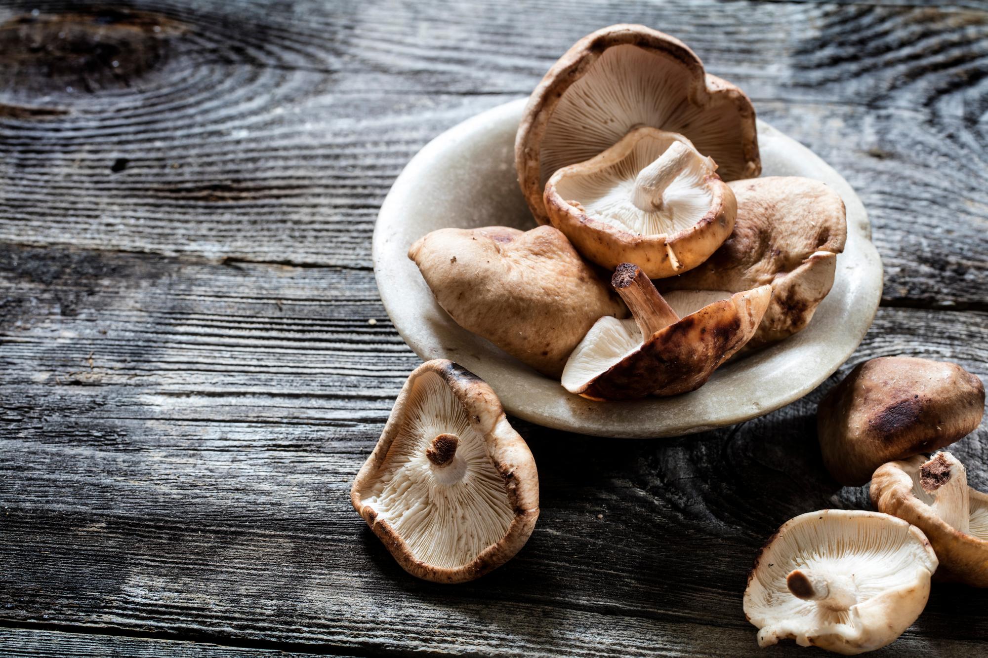 vegetable still life - Shitake mushrooms in stone cup set on genuine old wood background, studio shot