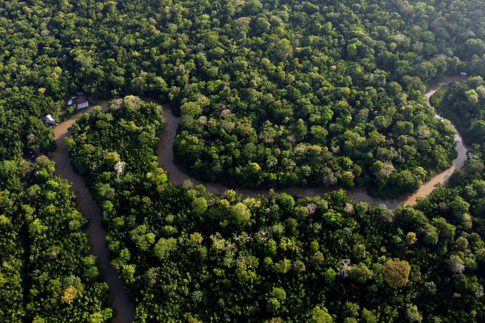 View of the forest cut by the Combu creek, on Combu Island on the banks of the Guama River, near the city of Belem, Para state, Brazil, Sunday, Aug. 6, 2023. Belem will play host to the Amazon Summit - IV Meeting of the Presidents of the States party to the Amazon Cooperation Treaty, with the participation of Brazil, Bolivia, Colombia, Guyana, Ecuador, Peru, Suriname and Venezuela. (AP Photo/Eraldo Peres)