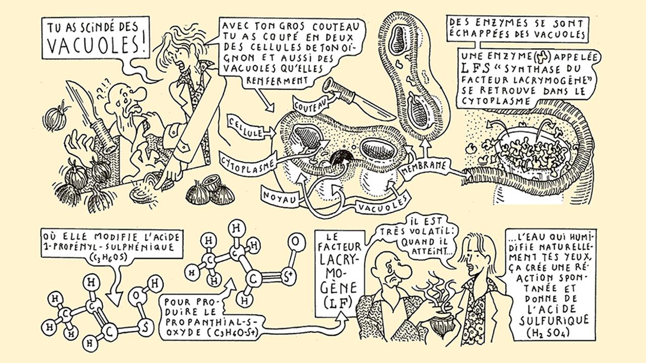 La biologiste Vivienne Baillie Gerritsen s'associe au dessinateur aloys lolo pour raconter les mécanismes intimes du vivant dans «La Vie, l'amour, la mort & les protéines», une bande dessinée instructive et drôle