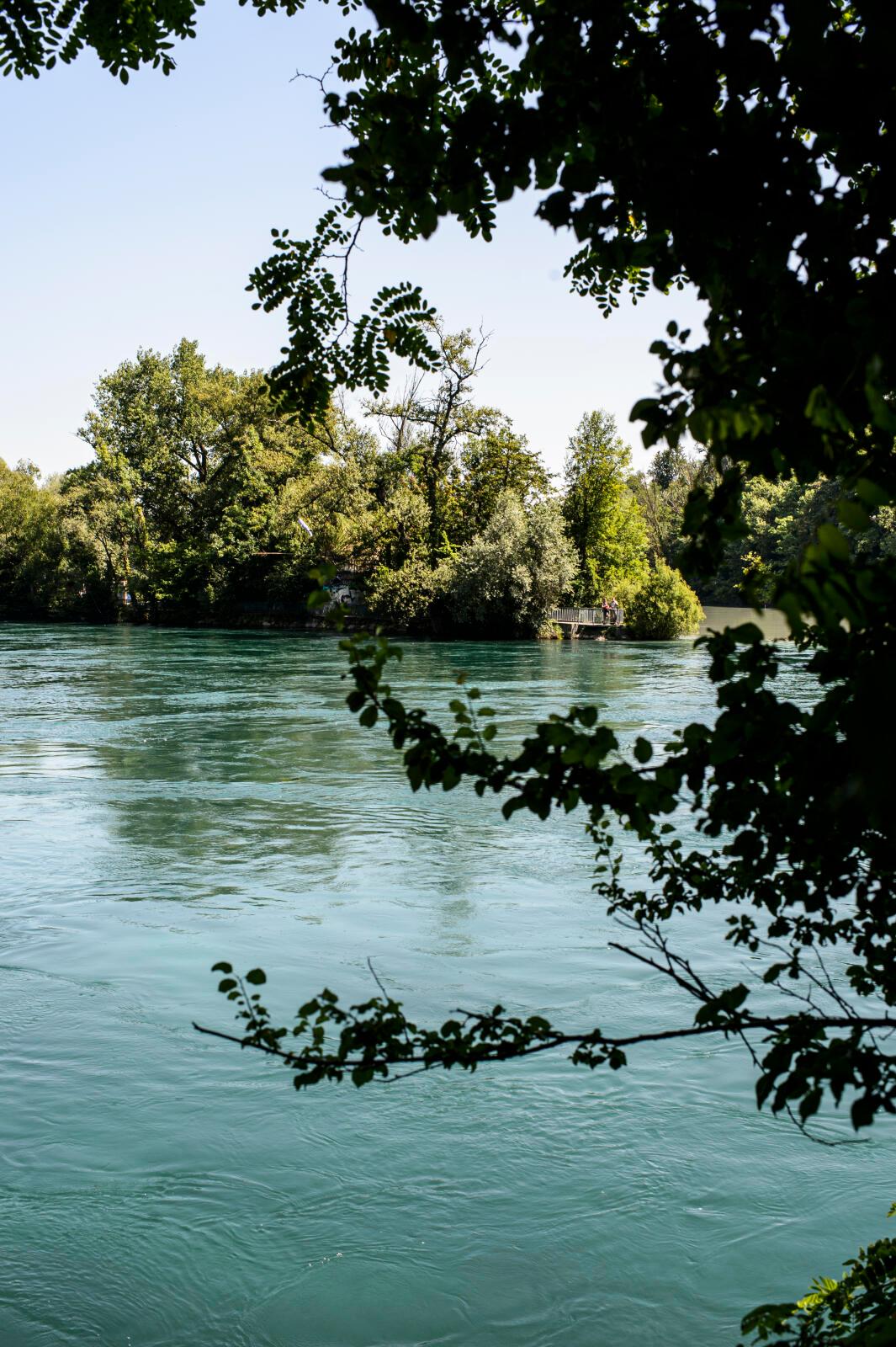 La pointe de la Jontion entre le Rhône et L'Arve. Genève. 11.8.2021. Eddy Mottaz / Le Temps