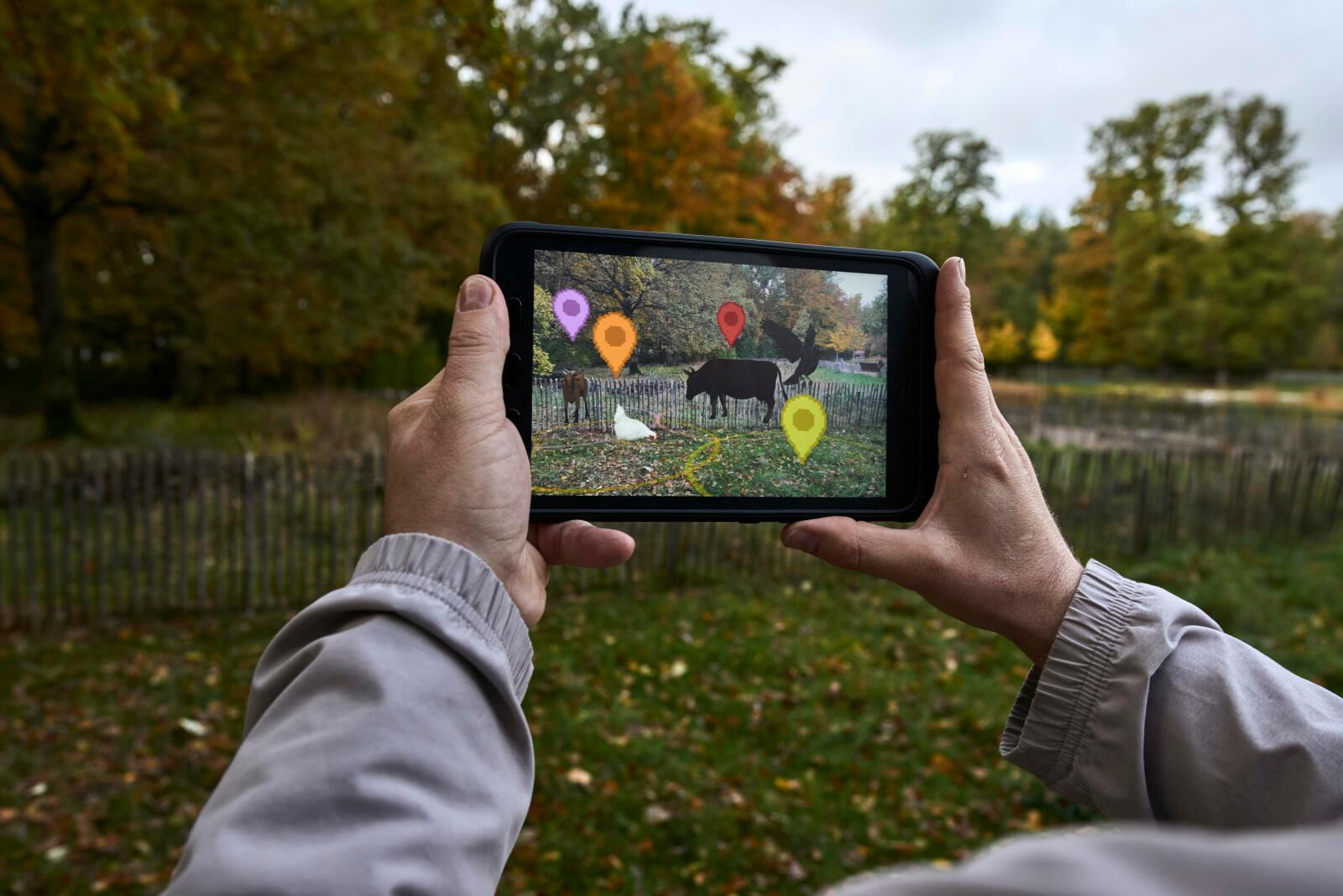 Usage de la réalité augmentée à l'école pour apprendre sur la biodiversité. Bois de Sauvabelin. Lausanne . 8.11.2023. Eddy Mottaz / Le Temps