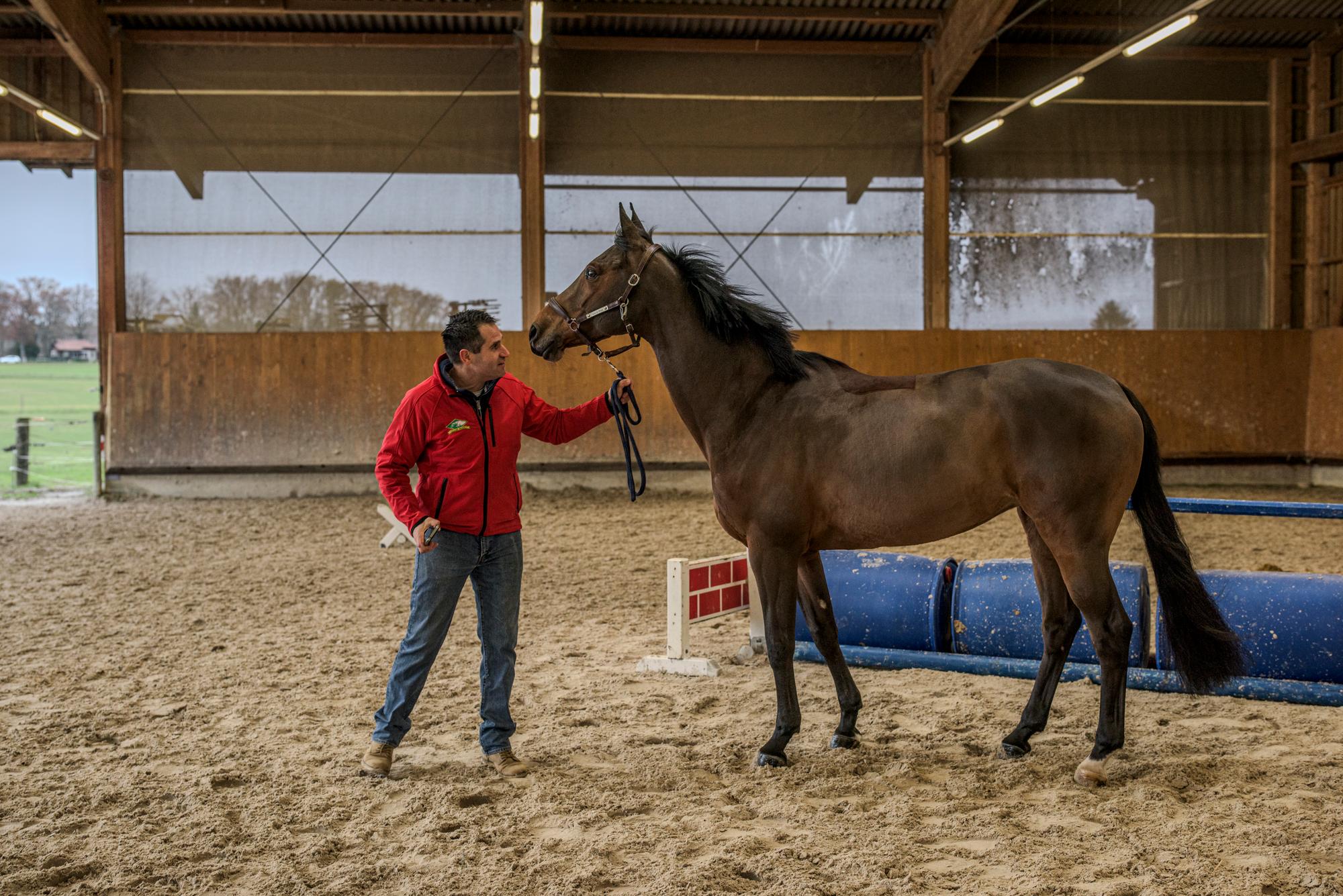 Philippe Rizzoli avec Gipsy, sa jument née à l'élevage familial du Roset. Genthod. 5.12.2023. Eddy Mottaz / Le Temps