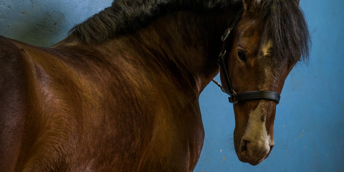 Eddy Mottaz/Le Temps