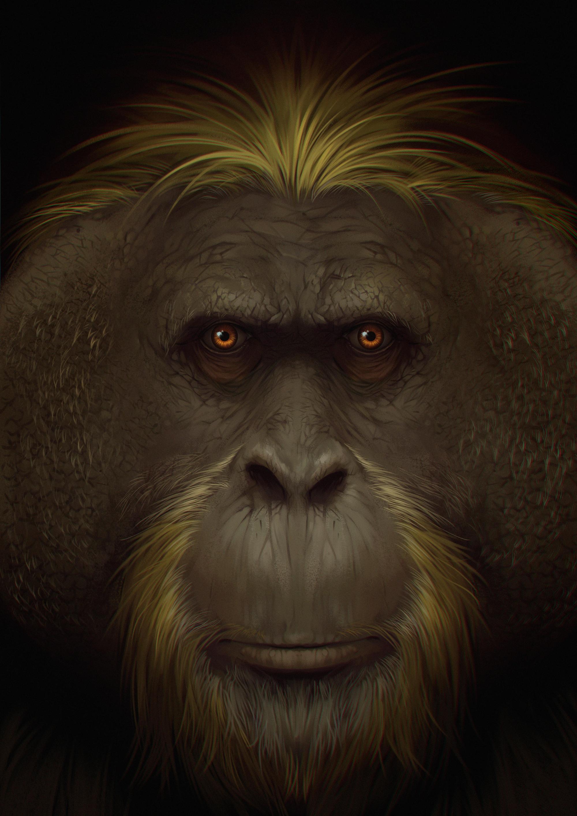 An artist impression of the giant ape from southern China