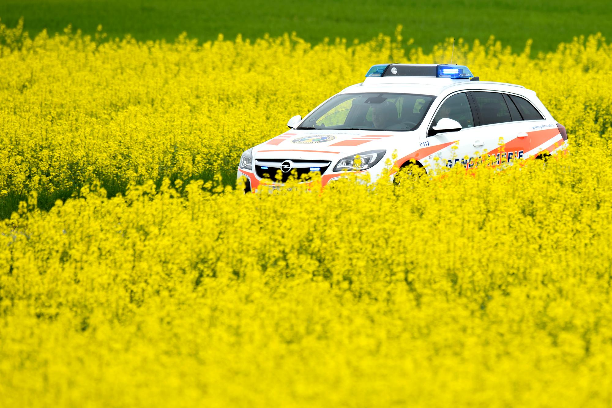 Une voiture de police du corps de gendarmerie de la Police cantonale vaudoise roule entre deux champs de Colza en fleurs ce dimanche 29 avril 2018 a Bottens, Vaud. (KEYSTONE/Laurent Gillieron)