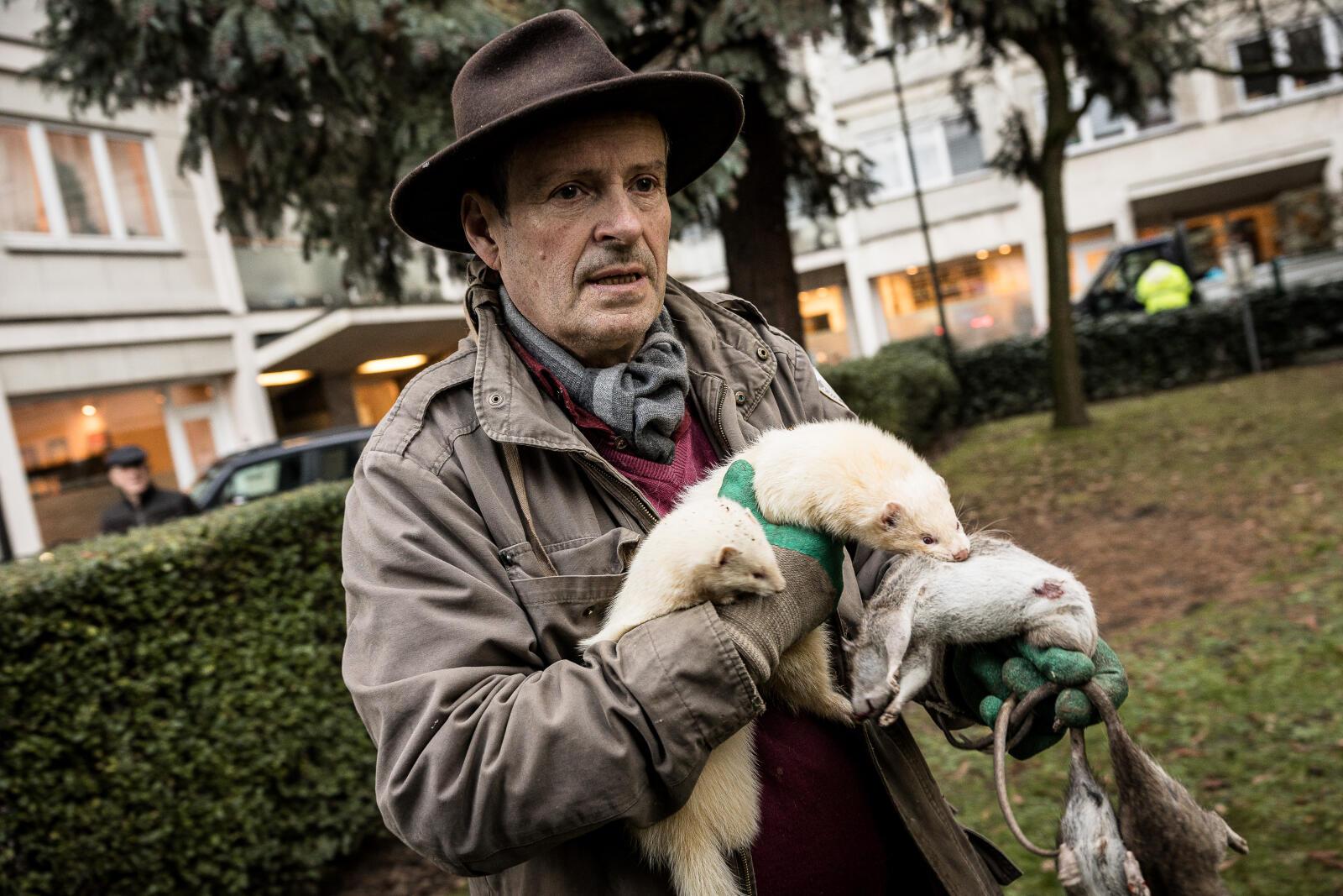 Jean de Marcken, conseiller communal d'Etterbeek (Bruxelles), chasseur de furets avec des rats février 2024, Bruxelles
