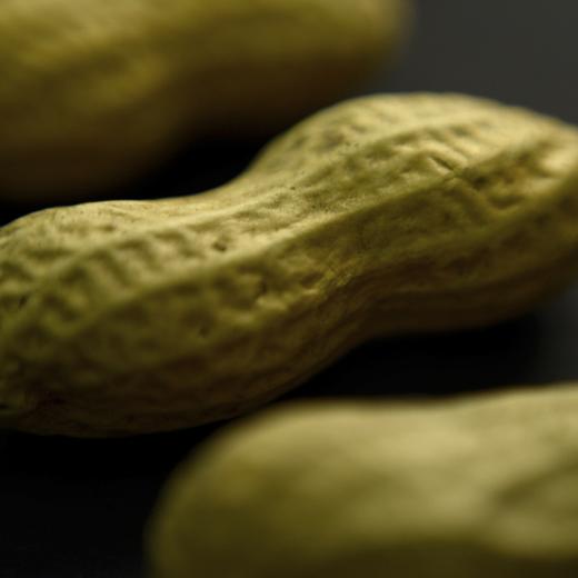 FILE - This Feb. 20, 2015 photo shows an arrangement of peanuts in New York. Xolair, the brand name for the drug omalizumab, used to treat asthma can now be used to help people with food allergies avoid severe reactions, the U.S. Food and Drug Administration said Friday, Feb. 16, 2024. (AP Photo/Patrick Sison, File)