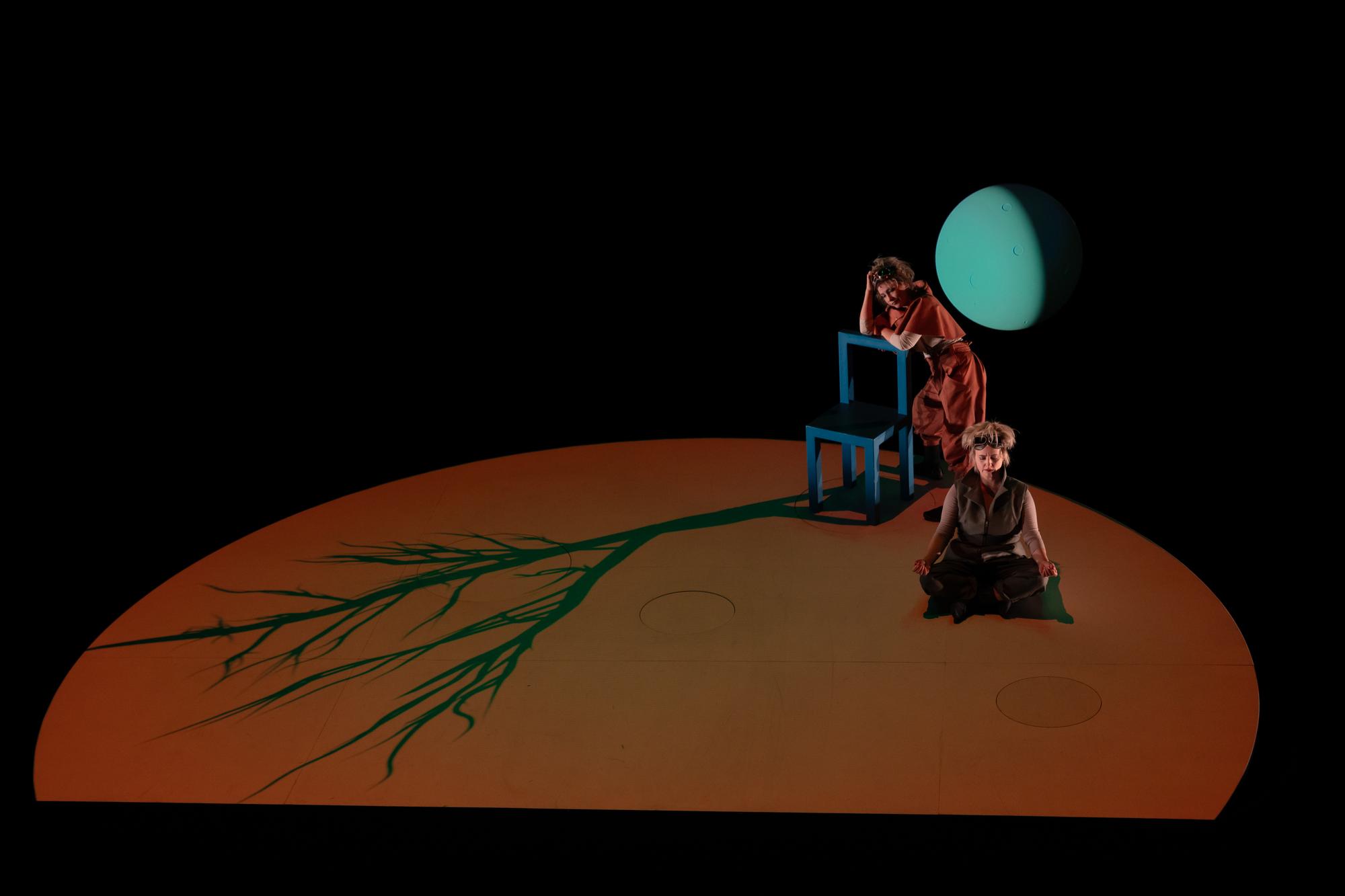 Une chaise qui devient un arbre? Une lune qui devient un œuf? Avec les frères Guillaume à la vidéo, la Cie Marjolaine Minot voyage loin dans l'imaginaire.